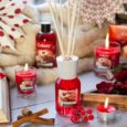 Cinnamon Spice Diffuser