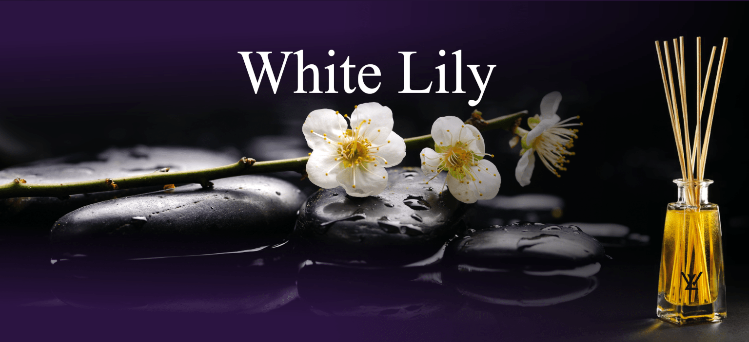 SECONDPAGEnew-resize