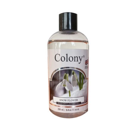 colony- snowflower web